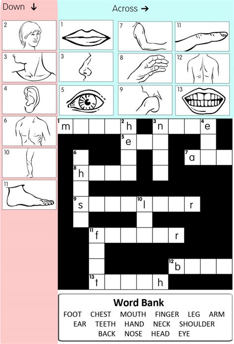 Arm parts crossword clue - woodland deity. without bottom. subdivision. bugs. set up for use. put a cap on. whittle. wooden box. All solutions for "Body part" 8 letters crossword clue - We have 47 answers with 4 to 3 letters.